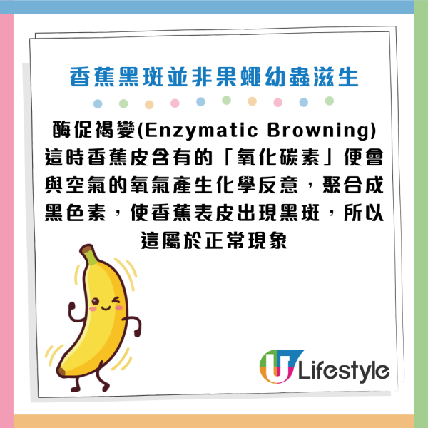 圖片資料來源：《中國食品報融媒體》