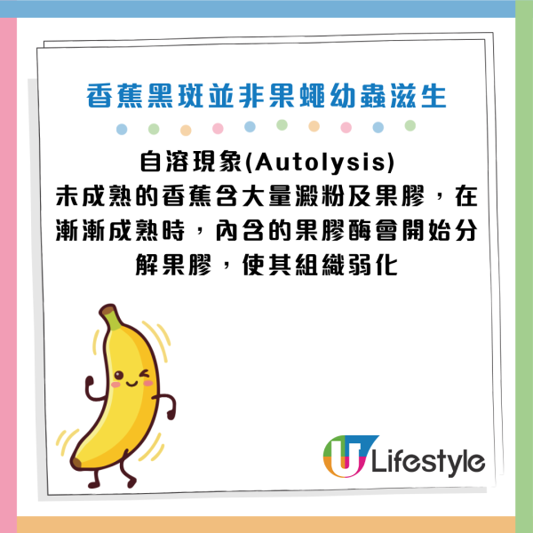 圖片資料來源：《中國食品報融媒體》