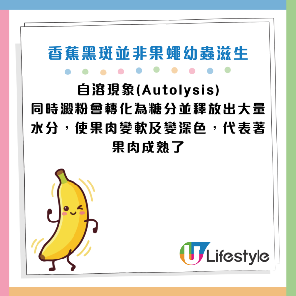 圖片資料來源：《中國食品報融媒體》