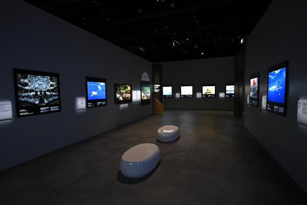 科學館《Inside Out》記憶球爆紅！限時發光 附穿梭機打卡時間表