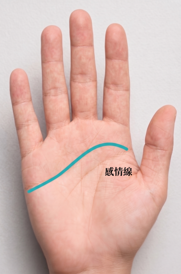 掌相｜手心凹陷注定發達？專家揭「存錢手」2大必要條件：凹錯地方隨時漏財兼損健康！小心4類誤區 呢種最易招小人