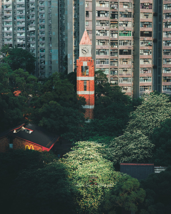 沙田都有「鐘樓」係香港最美？網民嘆大部份港人錯過得獎神作 附隱世打卡攻略
