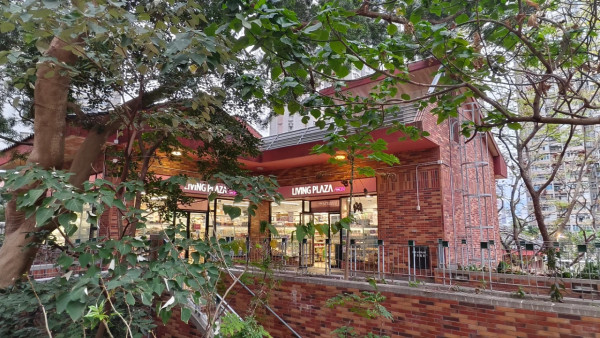 沙田都有「鐘樓」係香港最美？網民嘆大部份港人錯過得獎神作 附隱世打卡攻略