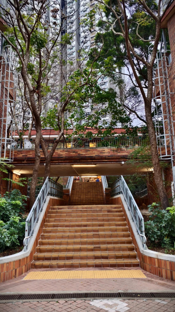 沙田都有「鐘樓」係香港最美？網民嘆大部份港人錯過得獎神作 附隱世打卡攻略