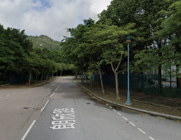 本港爆首宗本地登革熱！警告呢1類人要特別小心恐致命 附8大病徵及防蚊法