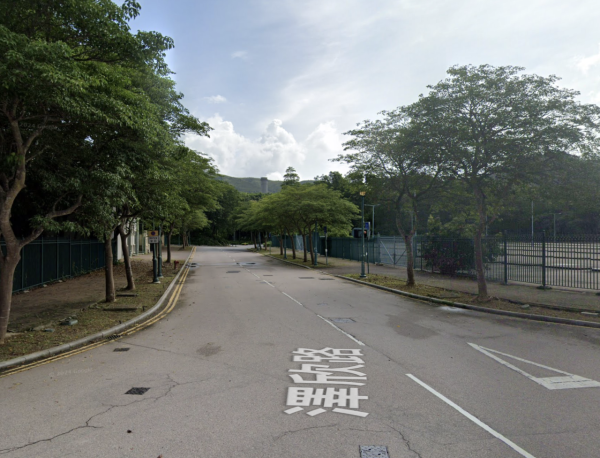 本港爆首宗本地登革熱！警告呢1類人要特別小心恐致命 附8大病徵及防蚊法