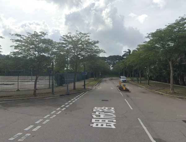 本港爆首宗本地登革熱！警告呢1類人要特別小心恐致命 附8大病徵及防蚊法