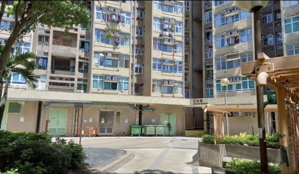 本港爆首宗本地登革熱！警告呢1類人要特別小心恐致命 附8大病徵及防蚊法