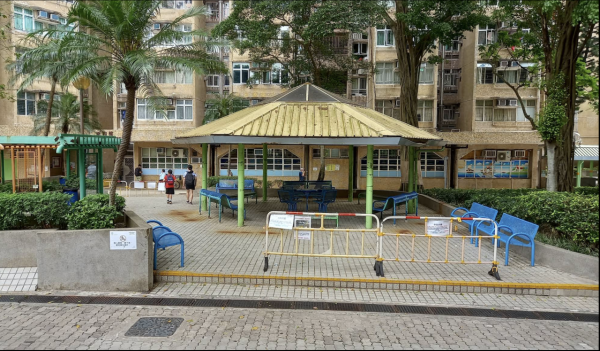 本港爆首宗本地登革熱！警告呢1類人要特別小心恐致命 附8大病徵及防蚊法