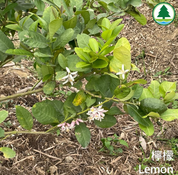 港版京都竹林！香港4大隱世郊遊秘境散心 唔使飛日本附交通攻略