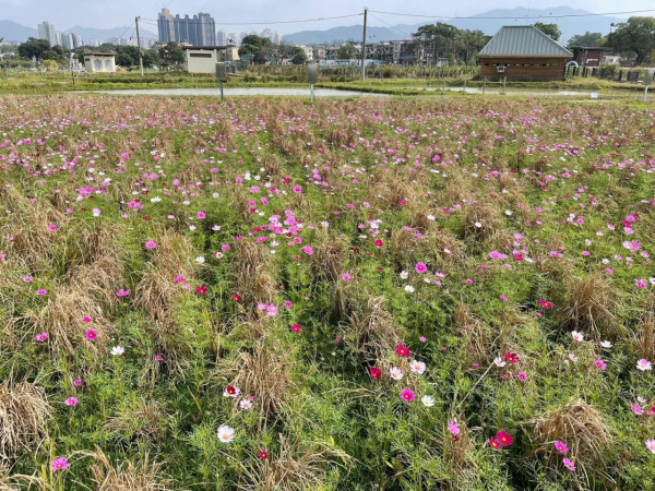 港版京都竹林！香港4大隱世郊遊秘境散心 唔使飛日本附交通攻略