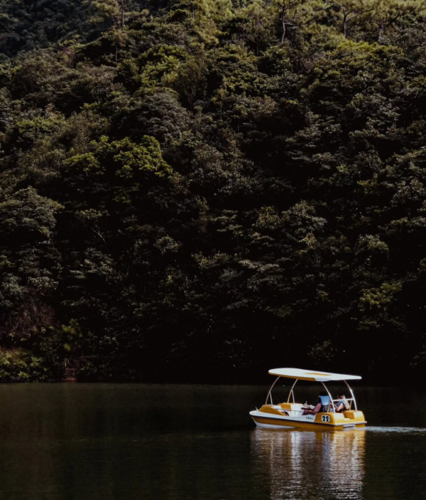 港版京都竹林！香港4大隱世郊遊秘境散心 唔使飛日本附交通攻略