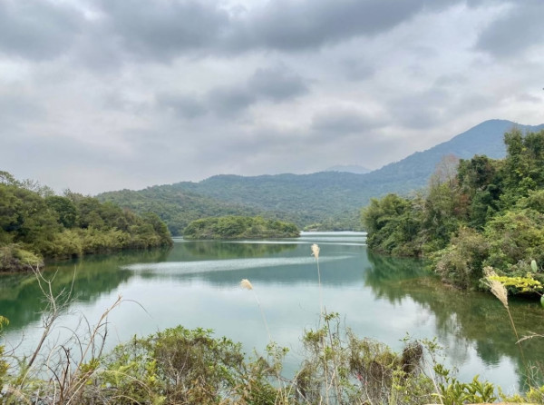 港版京都竹林！香港4大隱世郊遊秘境散心 唔使飛日本附交通攻略