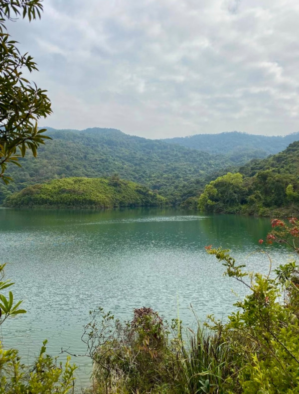 港版京都竹林！香港4大隱世郊遊秘境散心 唔使飛日本附交通攻略