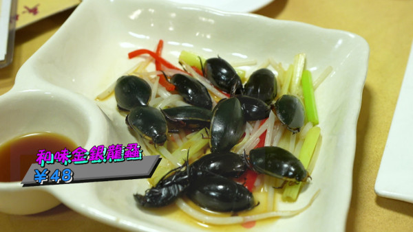 試真D｜江美儀廣州挑戰「全蟲蟲宴」畫面極震撼！原隻水曱甴嚇到GM驚現毁容級表情