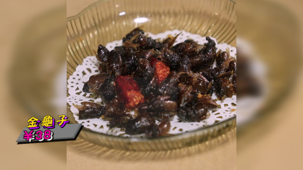 試真D｜江美儀廣州挑戰「全蟲蟲宴」畫面極震撼！原隻水曱甴嚇到GM驚現毁容級表情