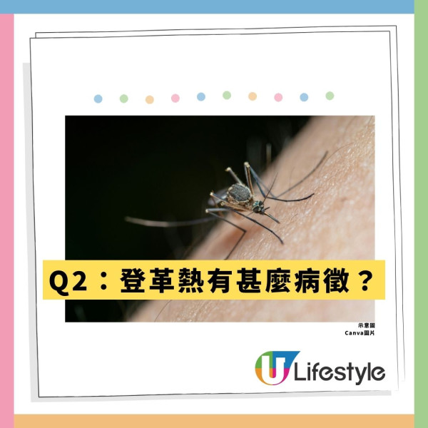 本港爆首宗本地登革熱！警告呢1類人要特別小心恐致命 附8大病徵及防蚊法