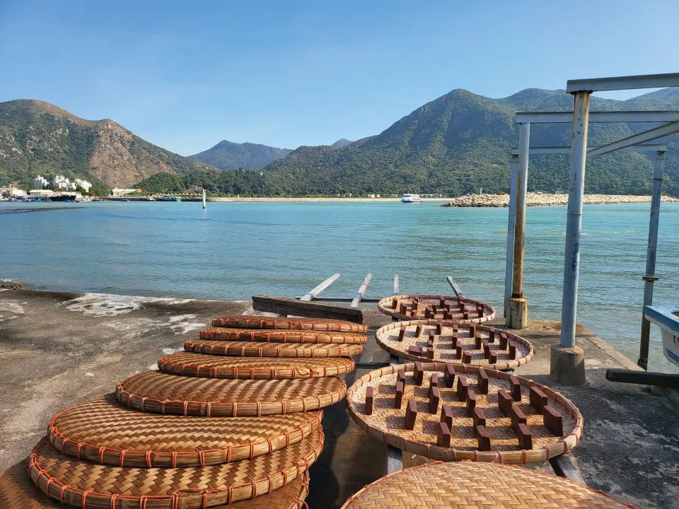 港版京都竹林！香港4大隱世郊遊秘境散心 唔使飛日本附交通攻略