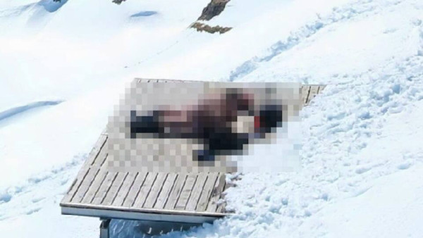 瑞士阿爾卑斯山2680米山峰驚現「活春宮」 情侶觀景台親熱遭天氣鏡頭全程直播 