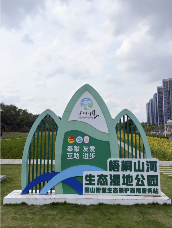 深圳龍崗絕美向日葵花海 地鐵直達免費隱世治癒秘境！ 
