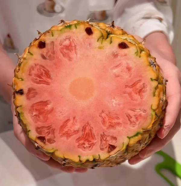 照片來源：小紅書@Heyson