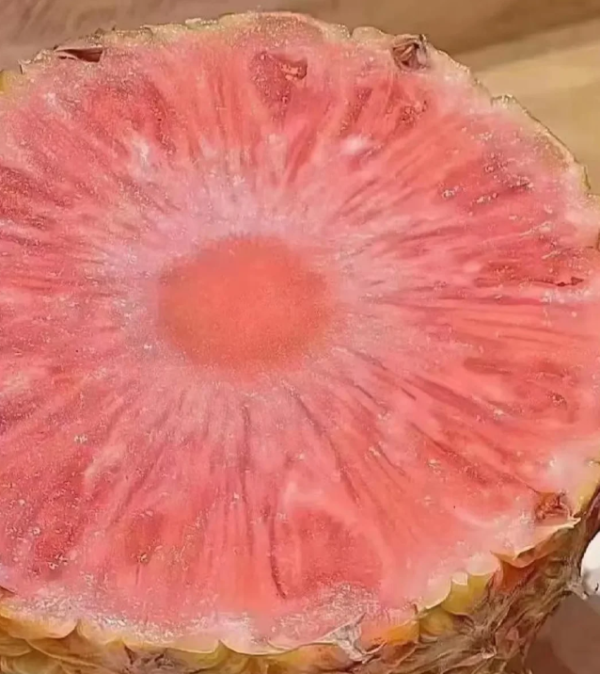 照片來源：小紅書@Heyson