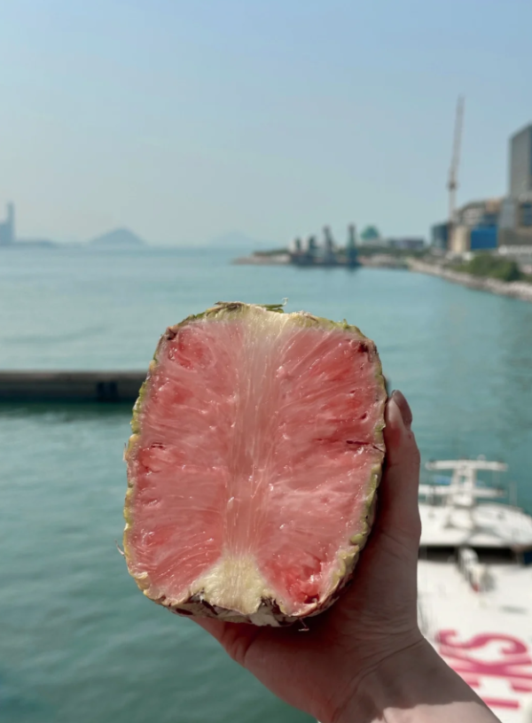 照片來源：小紅書@e丸粗面