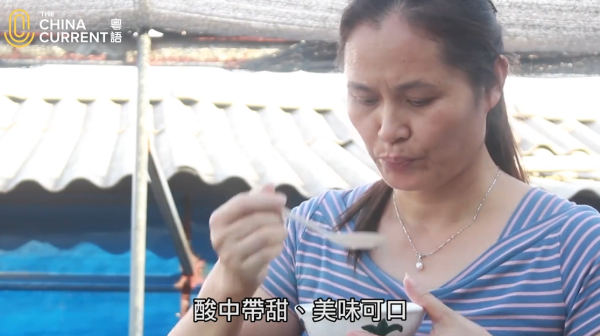 試真D｜主持實測三水名物「臭屁醋」！聞落臭過屎坑？網民：似餿水 