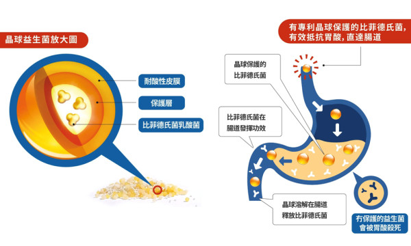 韓國爆紅「廁所炸彈」真係Work？清宿便只靠西梅汁，小心腸道依賴唔再郁！一文拆解 腸道需要「強效保護傘」