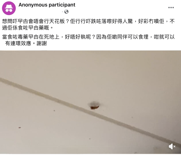 飛曱甴入屋噴殺蟲水都冇用？專家警告「隨時反撲」3大天然方法秒滅小強