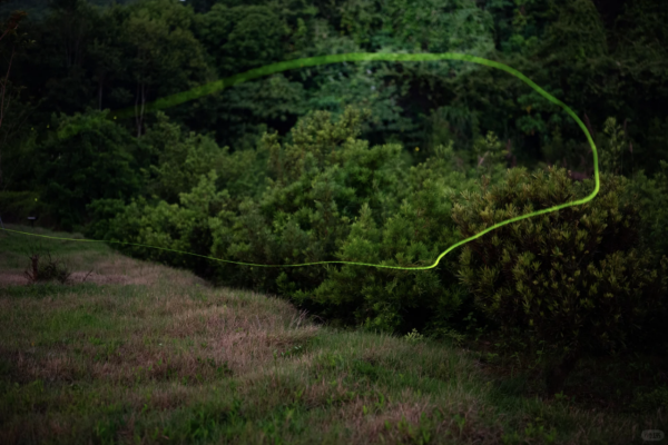 深圳西涌螢火蟲秘境如夢似幻！附地點交通最佳觀賞時間 