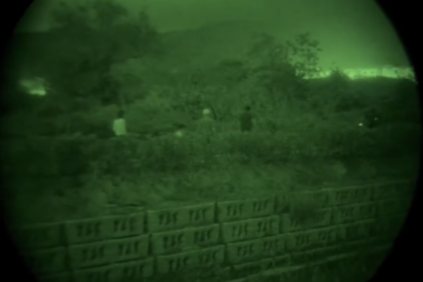 深圳西涌螢火蟲秘境如夢似幻！附地點交通最佳觀賞時間 