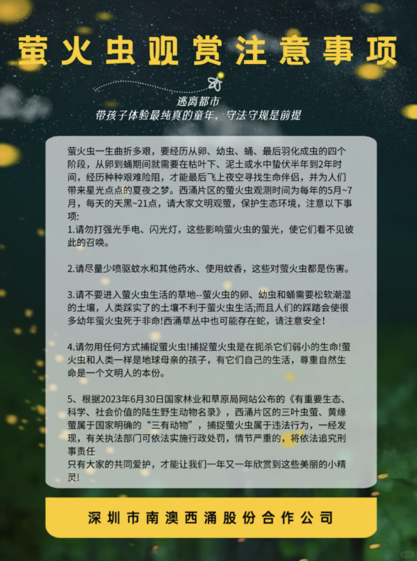 深圳西涌螢火蟲秘境如夢似幻！附地點交通最佳觀賞時間 
