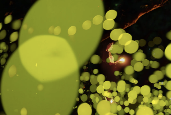 深圳西涌螢火蟲秘境如夢似幻！附地點交通最佳觀賞時間 