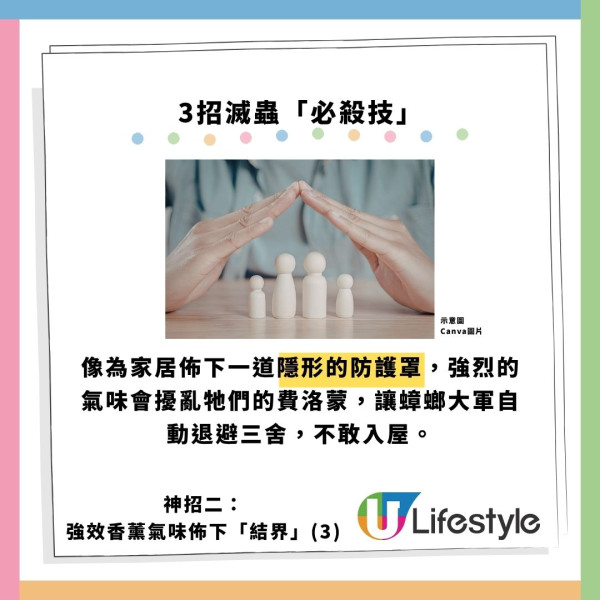 飛曱甴入屋噴殺蟲水都冇用？專家警告「隨時反撲」3大天然方法秒滅小強
