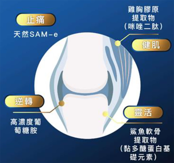 3個常見「旅行後遺症」你中幾多樣？用家親試大讚 Return 關節筋肌配方 幫手搵返強健動力 