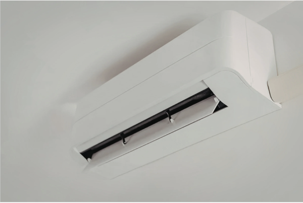 港人慘呻「變種蚊」攻陷香港！拆解5大特徵：今批蚊醒咗好多 附4大滅蚊神招