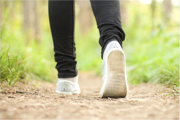 港人慘呻「變種蚊」攻陷香港！拆解5大特徵：今批蚊醒咗好多 附4大滅蚊神招