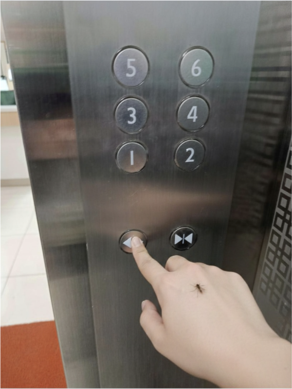 港人慘呻「變種蚊」攻陷香港！拆解5大特徵：今批蚊醒咗好多 附4大滅蚊神招