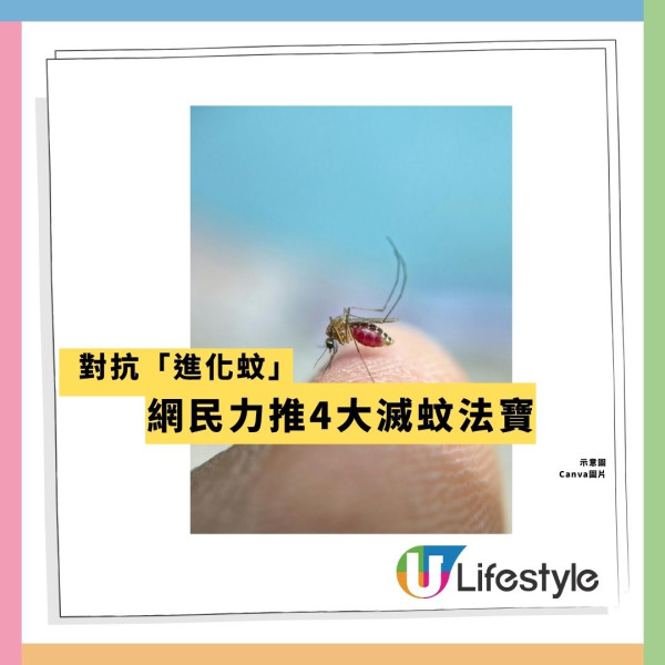 港人慘呻「變種蚊」攻陷香港！拆解5大特徵：今批蚊醒咗好多 附4大滅蚊神招