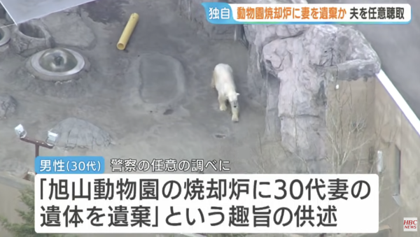 圖片來源：HBCニュース　北海道放送