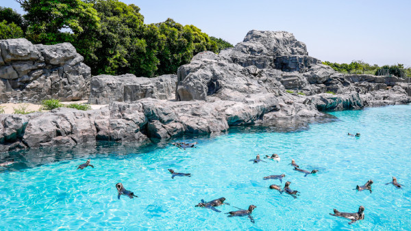 葛西臨海水族園官網