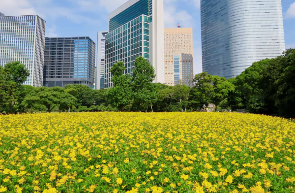 濱離宮恩賜庭園官網