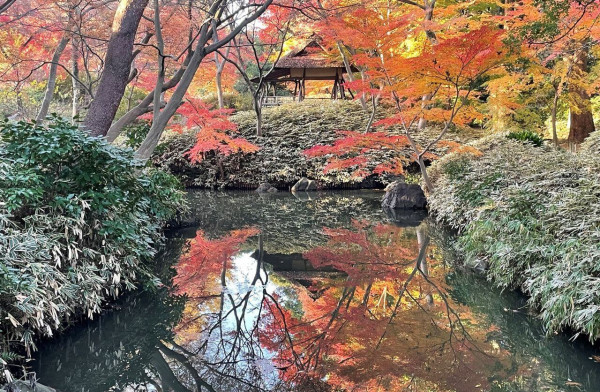六義園官網
