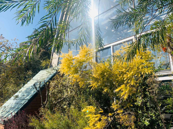 夢之島熱帶植物館官網