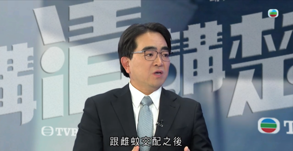 數百萬「絕育雄蚊」即將空降？食環署擬祭出滅蚊奇招 下一代直接「絕後」