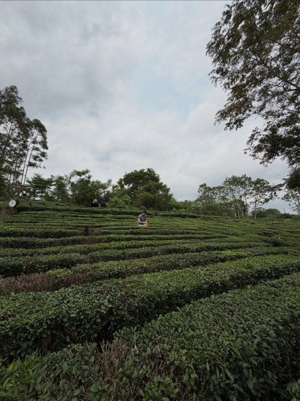 簡淑兒慶祝老公麥大力生日晒恩愛 同框顏值被指似父女！真實年齡差距令人震驚