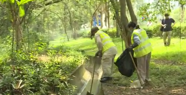 數百萬「絕育雄蚊」即將空降？食環署擬祭出滅蚊奇招 下一代直接「絕後」