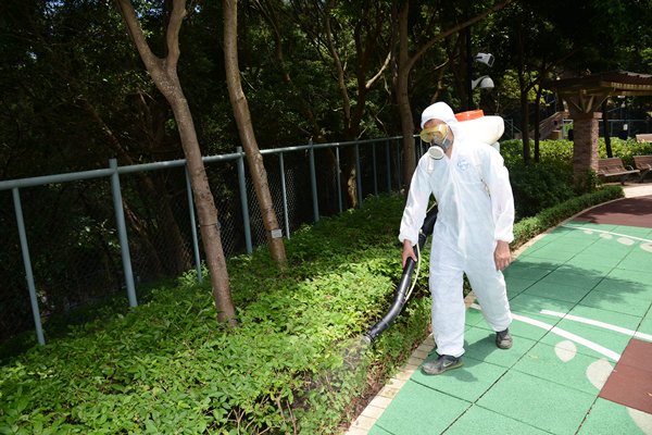 數百萬「絕育雄蚊」即將空降？食環署擬祭出滅蚊奇招 下一代直接「絕後」