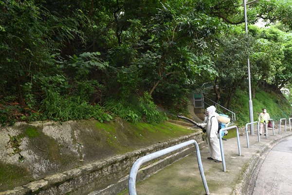 數百萬「絕育雄蚊」即將空降？食環署擬祭出滅蚊奇招 下一代直接「絕後」